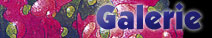Galerie d'images