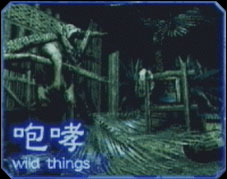 Soluce - Wild Things